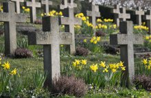 Tomb stones in a cemetery